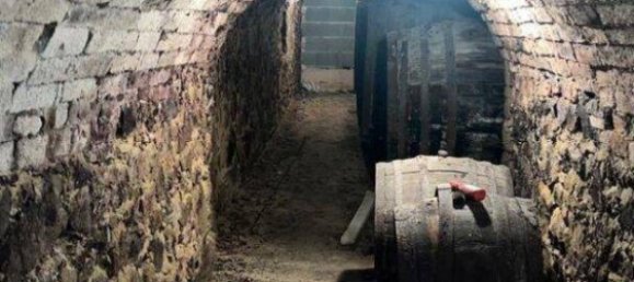 Коммерческая недвижимость с 7 комнатами в Графенегг, Австрия № 240273 36