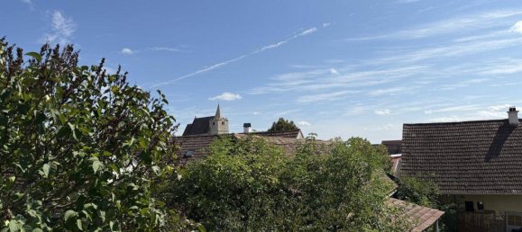 Коммерческая недвижимость с 7 комнатами в Графенегг, Австрия № 240273 34