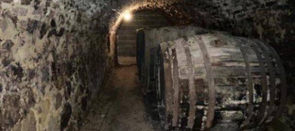 Коммерческая недвижимость с 7 комнатами в Графенегг, Австрия № 240273 35