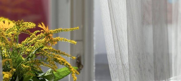 Коммерческая недвижимость с 7 комнатами в Графенегг, Австрия № 240273 12