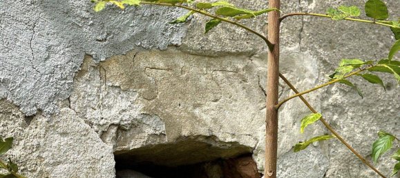 Коммерческая недвижимость с 7 комнатами в Графенегг, Австрия № 240273 18