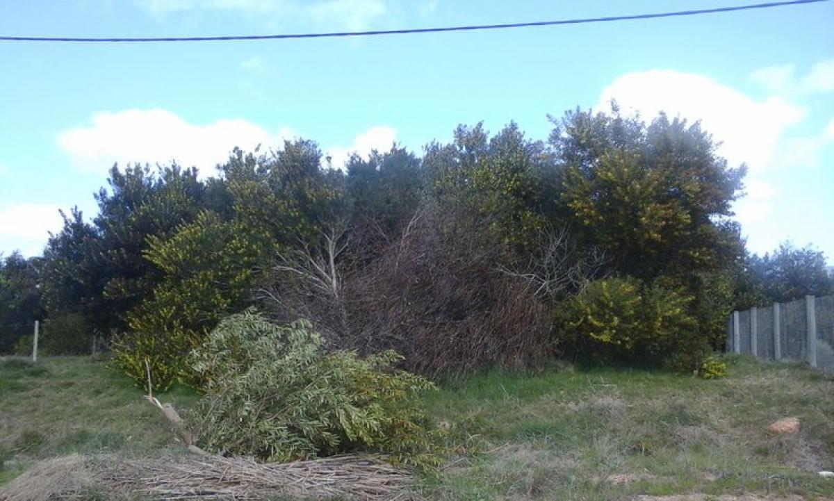 Terrain à Maldonado, Uruguay No. 14076