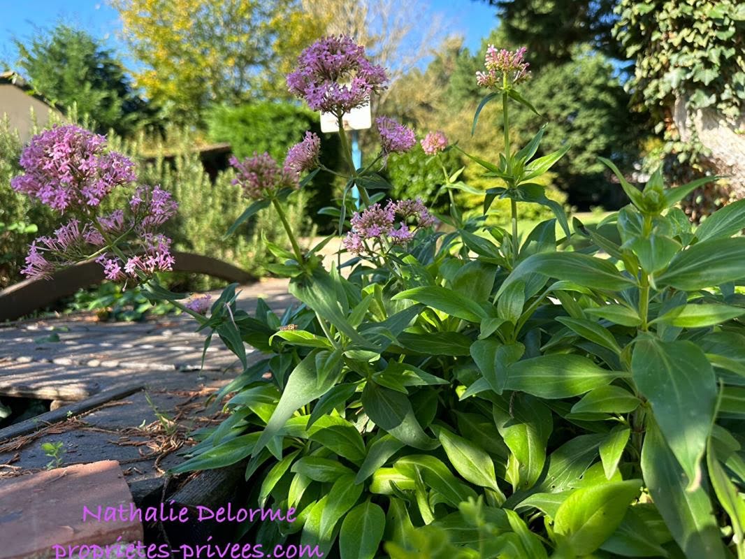 4 bedrooms House in Noailles, France No. 222606