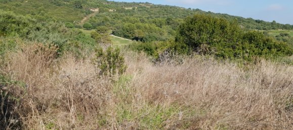  Land in Cadiz, Spain No. 203173 4