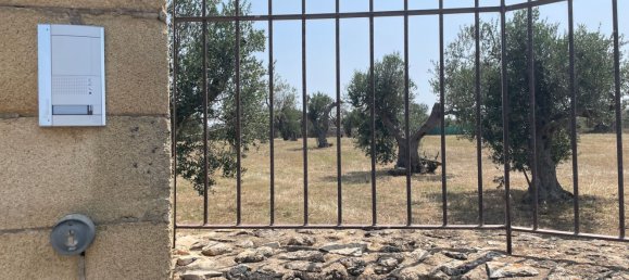 2 rooms House in Sannicola, Italy No. 260015 11