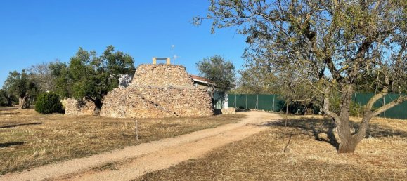 2 rooms House in Sannicola, Italy No. 260015 13