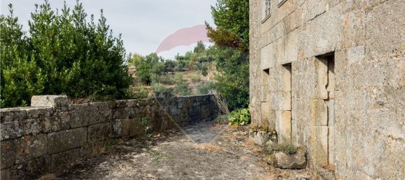 9 bedrooms House in Resende, Portugal No. 49947 6