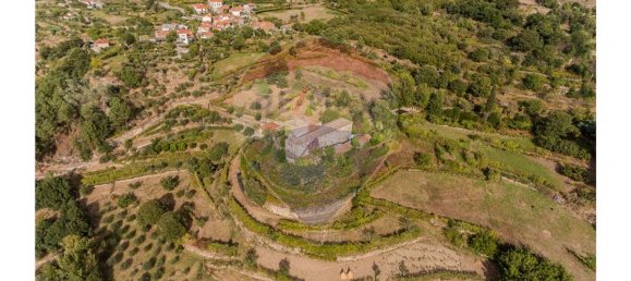 9 bedrooms House in Resende, Portugal No. 49947 14