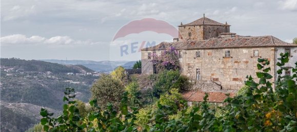 9 bedrooms House in Resende, Portugal No. 49947 3