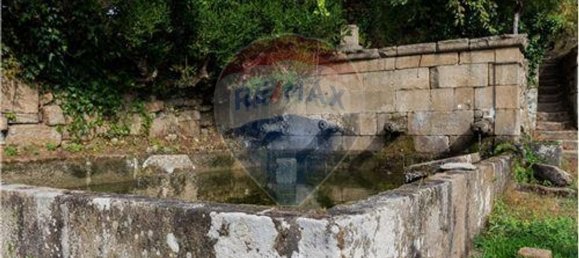 9 bedrooms House in Resende, Portugal No. 49947 10