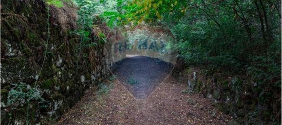 9 bedrooms House in Resende, Portugal No. 49947 12