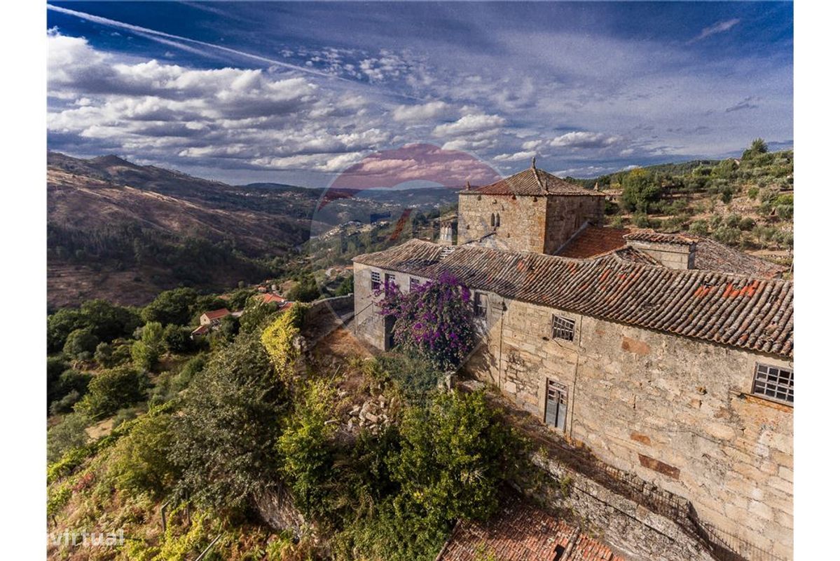 9 bedrooms House in Resende, Portugal No. 49947