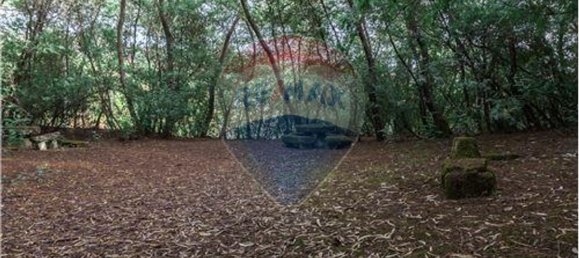 9 bedrooms House in Resende, Portugal No. 49947 13