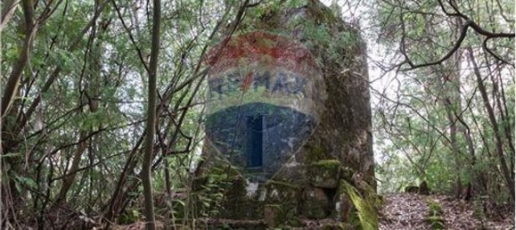 9 bedrooms House in Resende, Portugal No. 49947 11