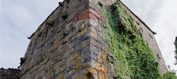 9 bedrooms House in Resende, Portugal No. 49947 7