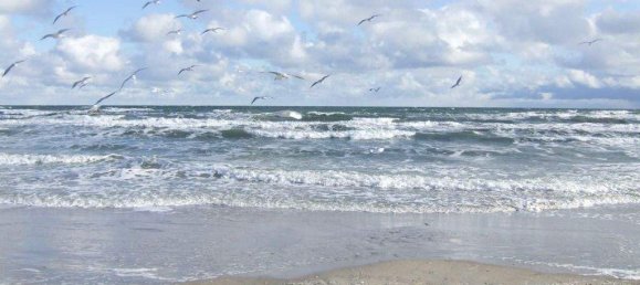 3-Zimmer Doppelhaus in Nordwestmecklenburg, Germany, Nr. 279098 4