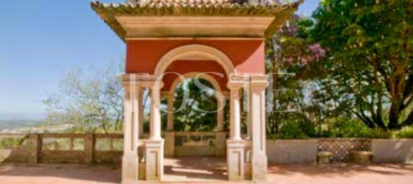 Castillos de 15 dormitorios en Sintra, Portugal No. 53516 26