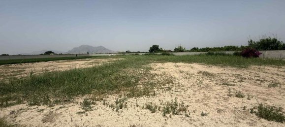 6 غرف نوم فيلا في Almoradi, Spain رقم 184732 45