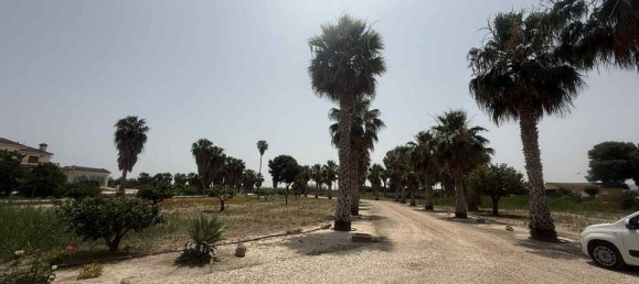 6 غرف نوم فيلا في Almoradi, Spain رقم 184732 43