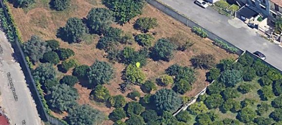 770m² Land in Gioia Tauro, Italy No. 292217 3