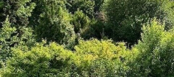 4-Zimmer Doppelhaus in Fürth, Germany, Nr. 342095 5