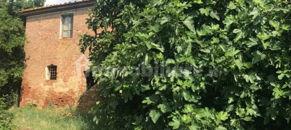 4 bedrooms House in Castiglione del Lago, Italy No. 124727 5