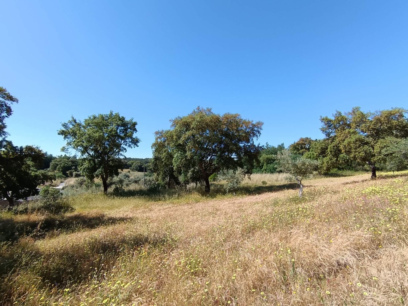  قطعة أرض في Idanha a Nova, Portugal رقم 222646