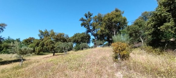  Land in Idanha a Nova, Portugal No. 222646 2