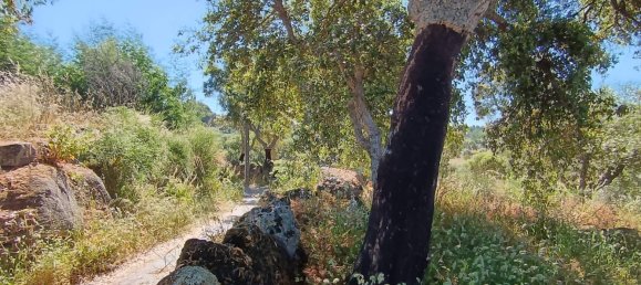  Land in Idanha a Nova, Portugal No. 222646 6