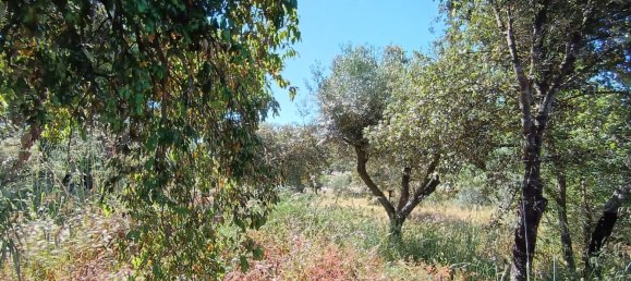  Land in Idanha a Nova, Portugal No. 222646 8