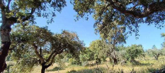  Land in Idanha a Nova, Portugal No. 222646 4