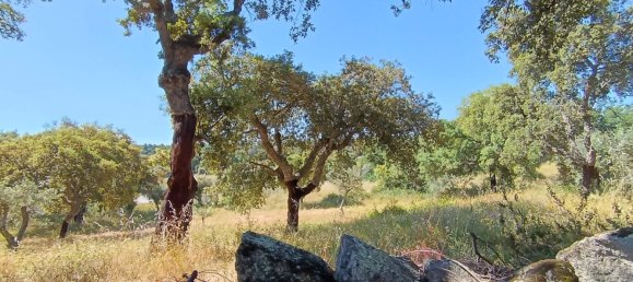  Land in Idanha a Nova, Portugal No. 222646 3