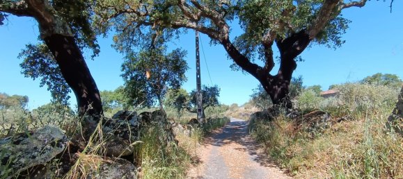  Land in Idanha a Nova, Portugal No. 222646 5