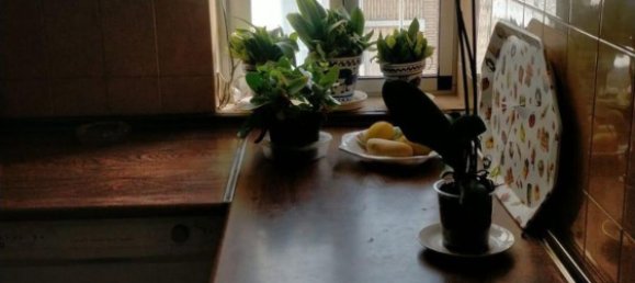 4 bedrooms Apartment in Jerez de la Frontera, Spain No. 145276 15