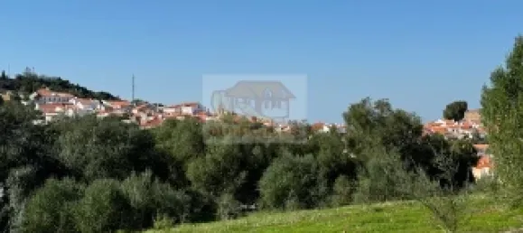 2 bedrooms House in Santiago do Cacem, Portugal No. 117235 8