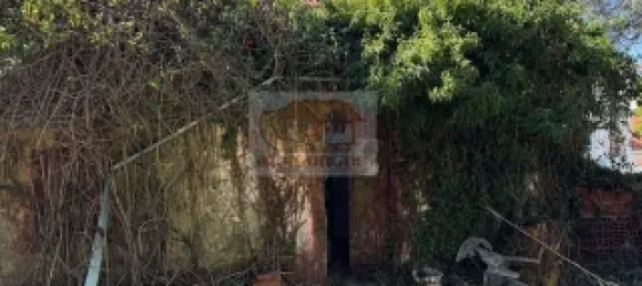 2 bedrooms House in Santiago do Cacem, Portugal No. 117235 14