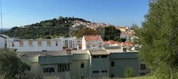 2 bedrooms House in Santiago do Cacem, Portugal No. 117235 11