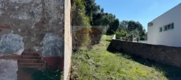 2 bedrooms House in Santiago do Cacem, Portugal No. 117235 12