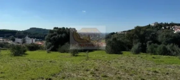 2 bedrooms House in Santiago do Cacem, Portugal No. 117235 2