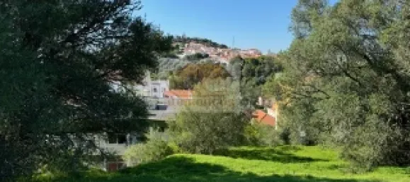 2 bedrooms House in Santiago do Cacem, Portugal No. 117235 15