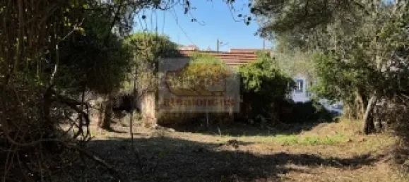 2 bedrooms House in Santiago do Cacem, Portugal No. 117235 9