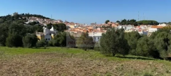 2 bedrooms House in Santiago do Cacem, Portugal No. 117235 3