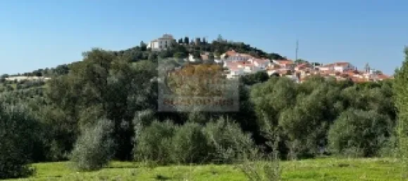 2 bedrooms House in Santiago do Cacem, Portugal No. 117235 7