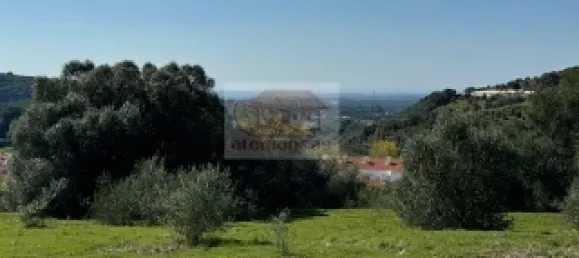 2 bedrooms House in Santiago do Cacem, Portugal No. 117235 6