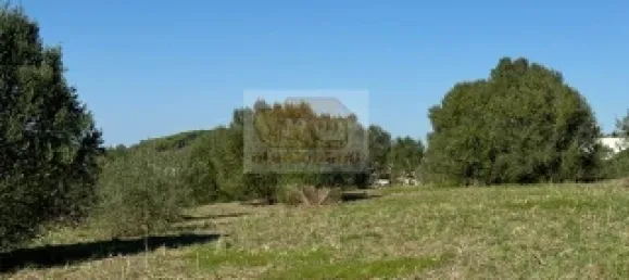 2 bedrooms House in Santiago do Cacem, Portugal No. 117235 16