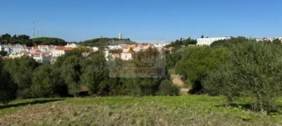 2 bedrooms House in Santiago do Cacem, Portugal No. 117235 4