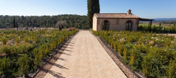 7 bedrooms Villa in Buonconvento, Italy No. 196353 30