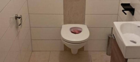 5 rooms House in Bad Waltersdorf, Austria No. 219324 6