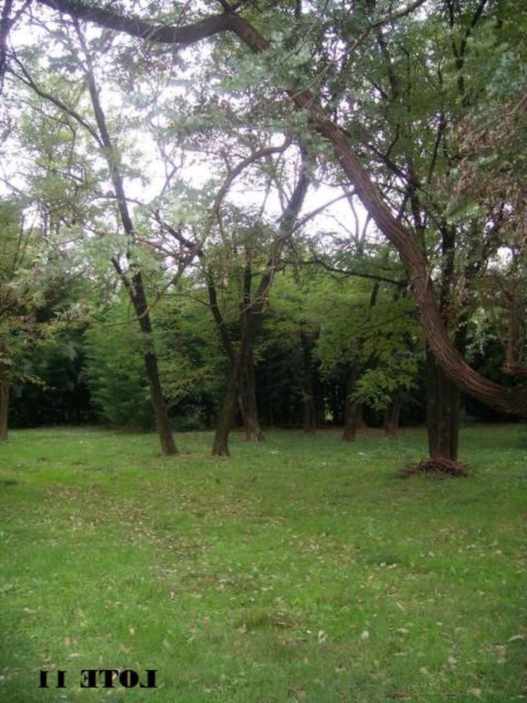 Земельный участок в Хосе-Клементе-Пас, Аргентина № 115094