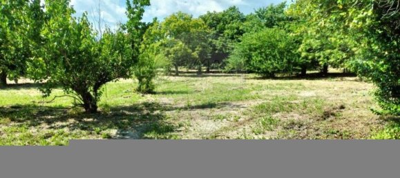 5 bedrooms Villa in Vouzela, Portugal No. 19042 7